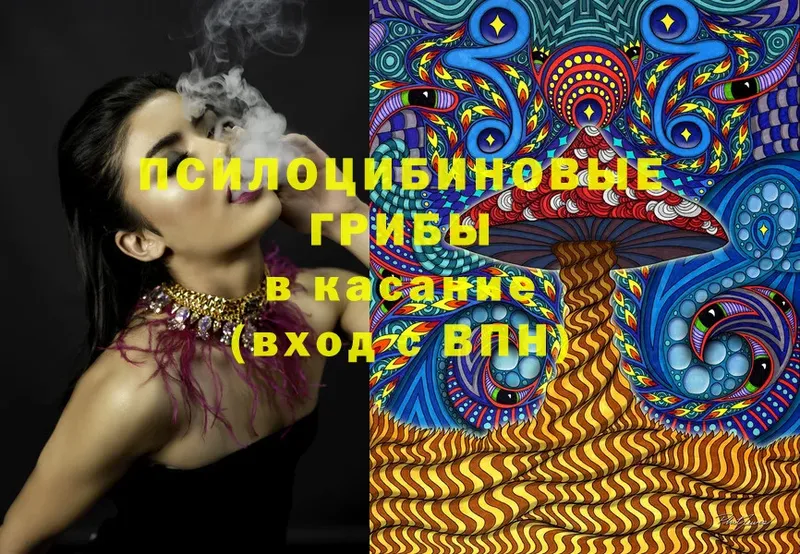 Галлюциногенные грибы Magic Shrooms Салават